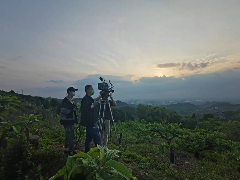 创意破圈！延安电商产品宣传视频用故事化叙事引爆流量