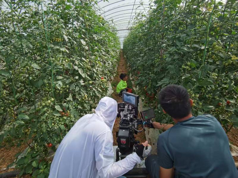 延安产品宣传视频拍摄公司进阶指南，助力品牌抢占传播高地